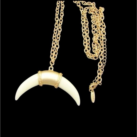 N326 Signed PLUNDER Blakely Horn Lucite Pendant Long Gold Tone Chain Necklace - Picture 4 of 5